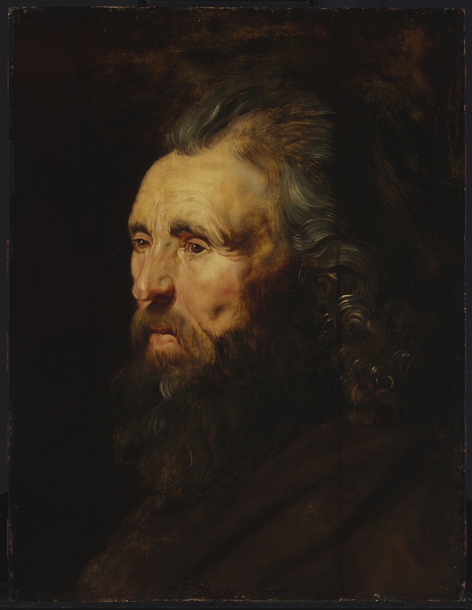 Head Study of a Bearded Man